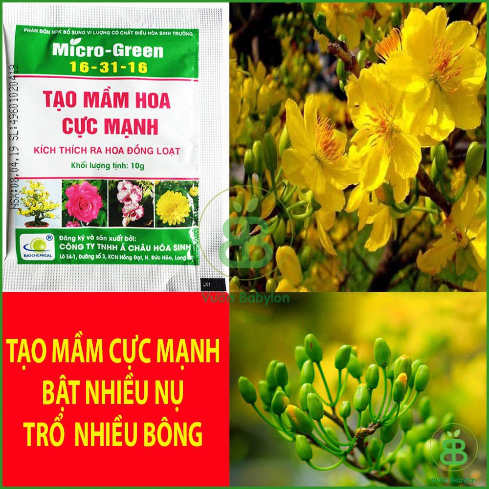 Micro-Green 16-31-16 10gram Phân bón lá bật mầm hoa