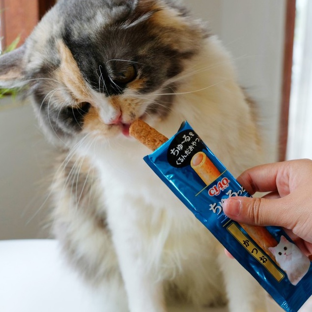 Bánh thưởng cho mèo Ciao churutto stick 28 gram 4 thanh, thức ăn snack vặt có nhân Con Mèo Xiêm