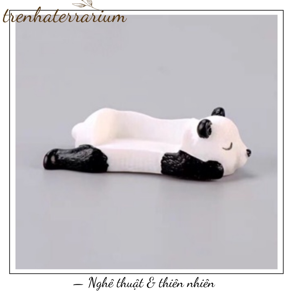Tiểu cảnh ghế gấu trúc trang trí sen đá, xương rồng, terrarium, charm slime, cây cảnh mini, cây để bàn, đồ trang trí