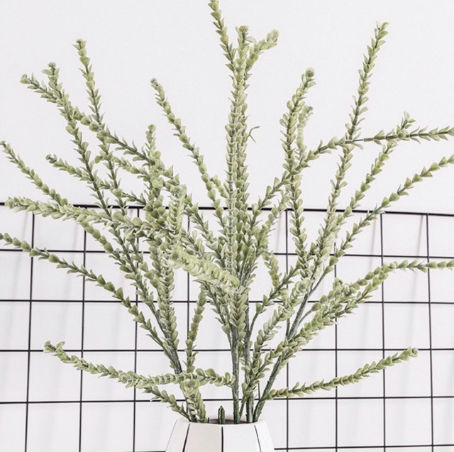 Hoa giả- Cành bạch đàn lạnh (Crassula) cao cấp decor trang trí