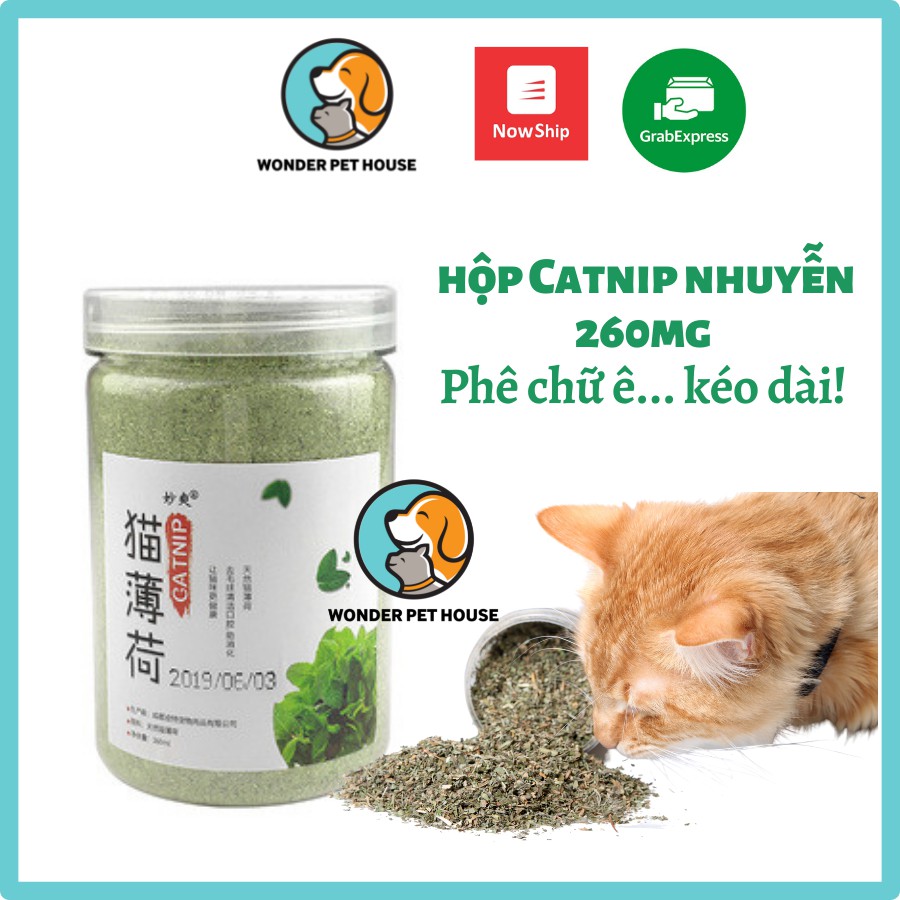 [Mã PET50K giảm Giảm 10% - Tối đa 50K đơn từ 250K] Hộp catnip nhuyễn siêu to khổng lồ bao phê cho mèo 260ml