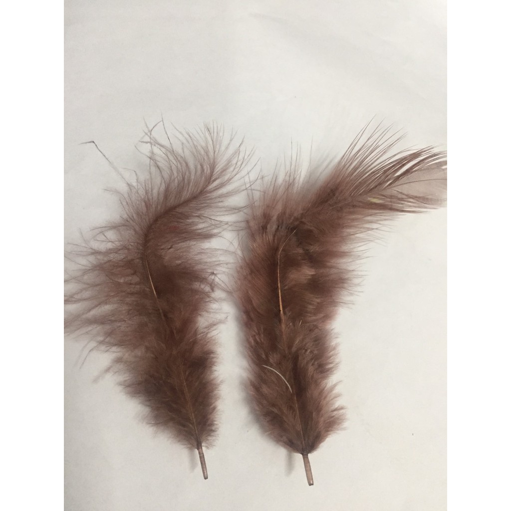 Lông vũ gói 7gam đủ màu dài 4-10CM