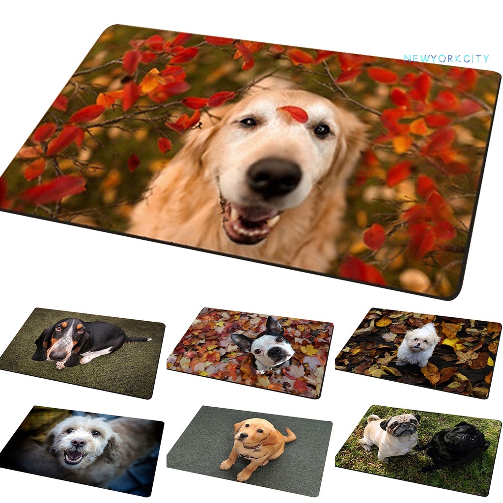 Thảm lót cửa chùi chân Chống Trượt In Hình Chú Chó Hiệu Ứng 3D