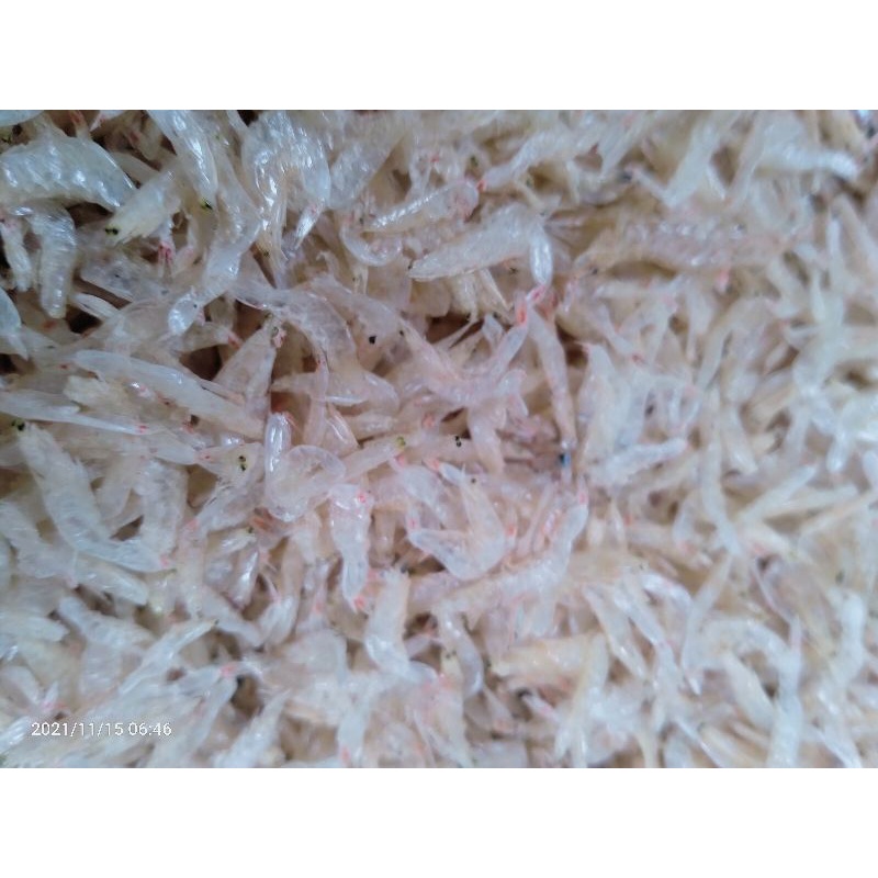 100g tép khô trắng hàng mới thơm ngon y hình