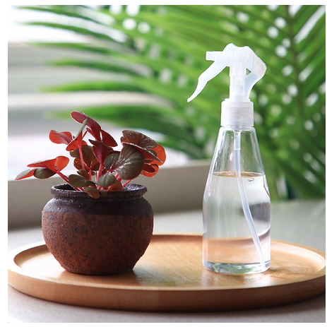 Bình Xịt Nước Bằng Nhựa Trong Suốt Dung Tích 150ml/200ml