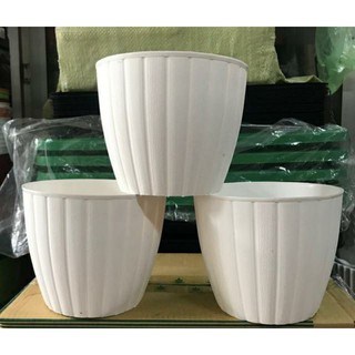 Chậu trồng hoa-kiểng, chậu bí