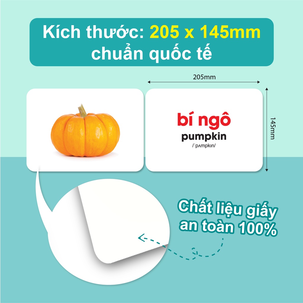 -Bộ flashcard TNBOOKS thế giới xung quanh 10 chủ đề 100 thẻ học - TN0027