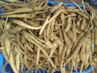 Đẳng sâm rừng khô. 1kg