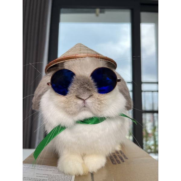 Nón lá Việt Nam cho thú cưng chó mèo