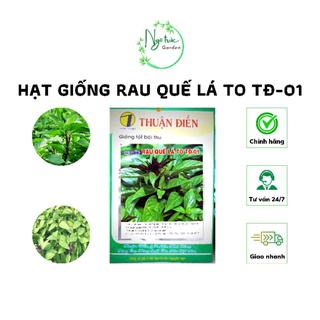 Hạt giống rau quế lá to