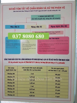 Tranh phác nha khoa- phác đồ sốc phản vệ nha khoa (Bộ 2 tranh)