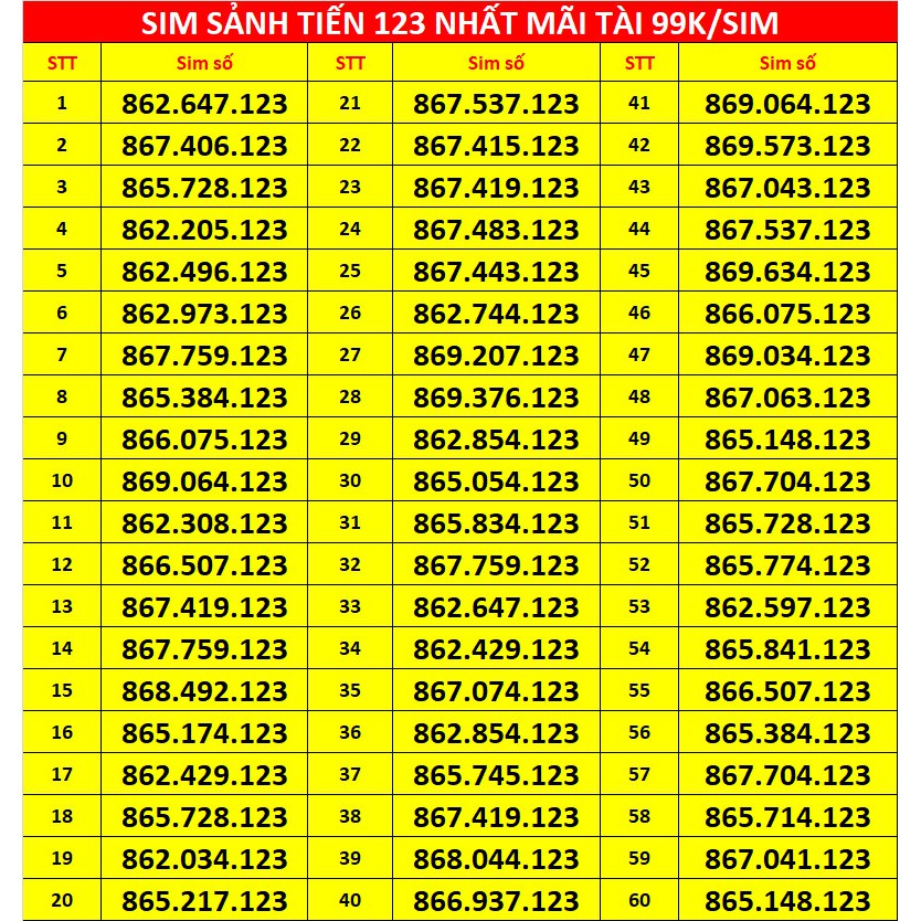 SIM SẢNH TIẾN *123 NHẤT MÃI TÀI