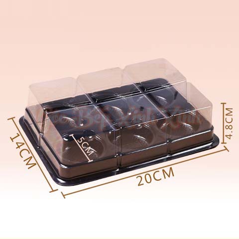 Hộp 6 bánh, bán set 6 hộp