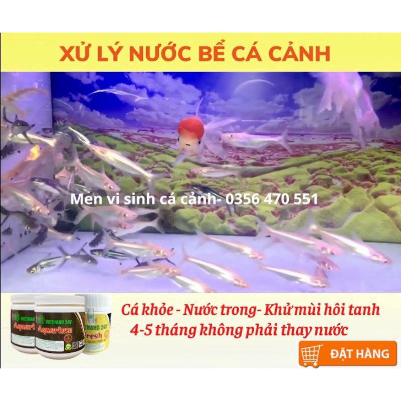Men Vi Sinh Cho Cá Cảnh VIETHAND247 FRESH/Nước trong, cá khỏe/Giảm mùi hôi tanh/4-5 tháng không phải thay nước 50g