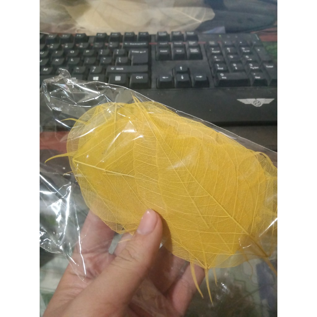 tổng kho -set 5 xương lá bồ đề vừa điện thoại