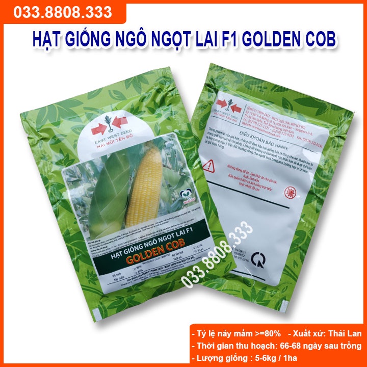 Hạt Giống Ngô Ngọt Lai F1 GOLDEN COB 100gram - Bắp Ngô To Đều Hạt