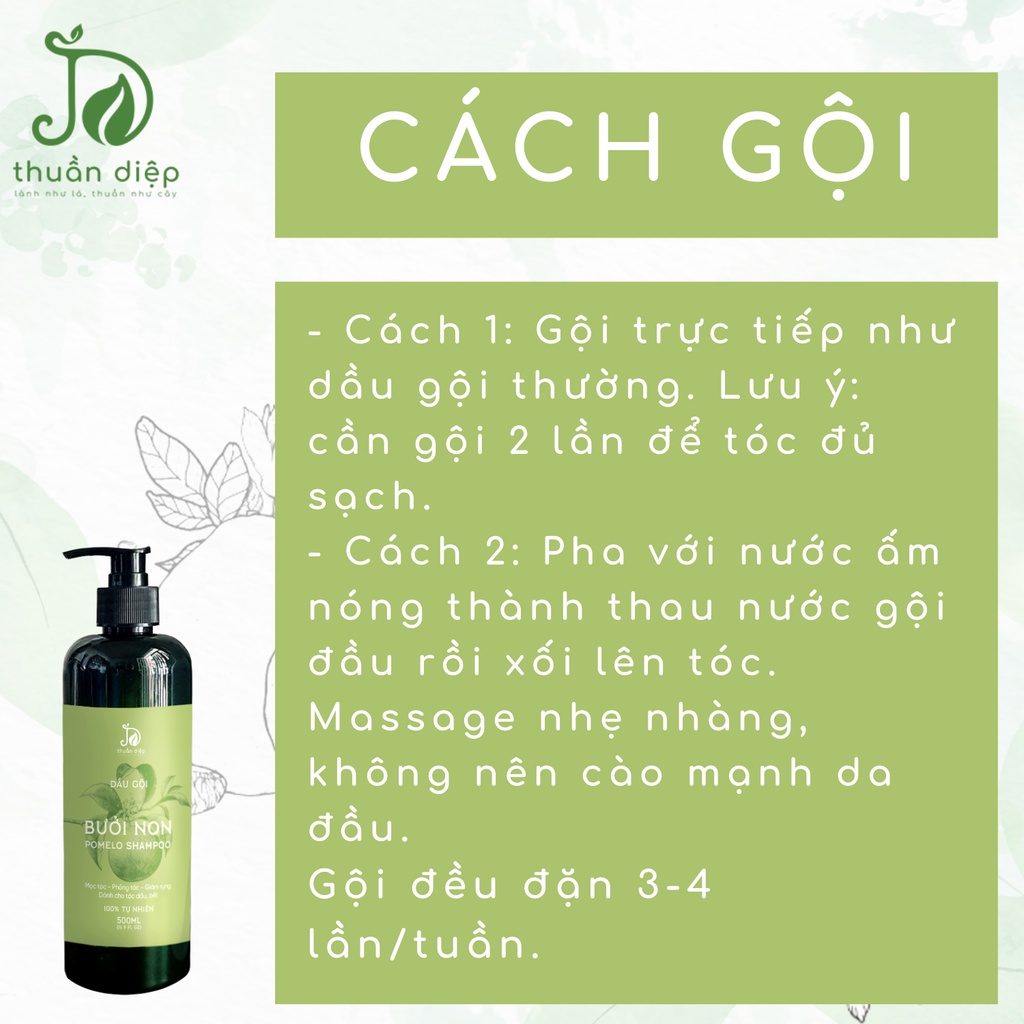 COMBO DẦU GỘI XẢ BƯỞI THUẦN DIỆP + XỊT BƯỞI NON  giúp mọc tóc, giảm rụng tóc handmade