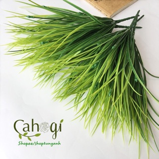 Cây Giả - Cành Mạ Non Trang Trí