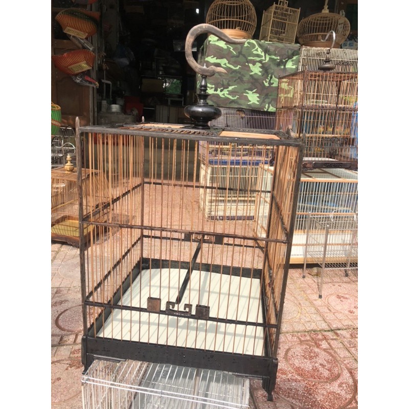 Lồng mun chào mào