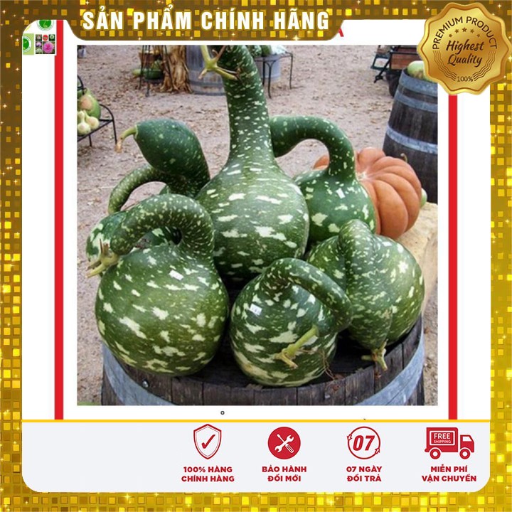 Hạt giống Bầu Thiên Nga 5 Hạt