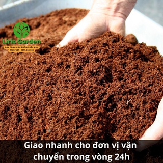 mùn xơ dừa trồng cây