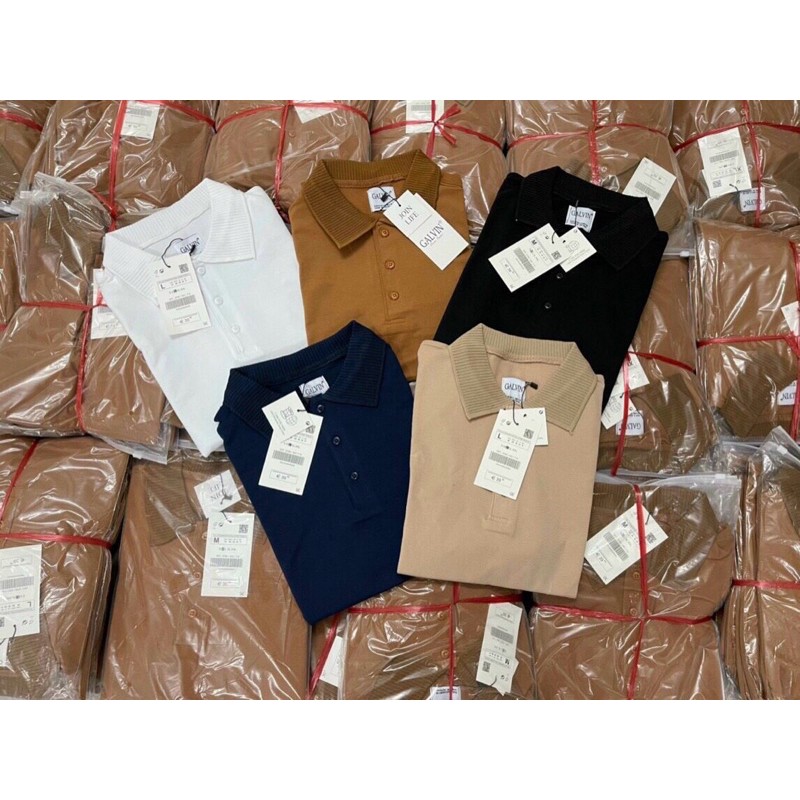 ÁO POLO NAM TRƠN CỔ DỆT SỌC GALV | BigBuy360 - bigbuy360.vn