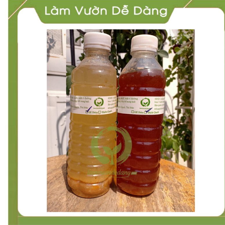 COMBO 2 PHÂN BÓN HỮU CƠ ( CHUỐI + MẬT GỈ ĐƯỜNG , THƠM + NƯỚC VO GẠO ) - bổ sung kali giúp đậm màu hoa