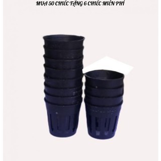 Chậu trồng cây giống mua 50 chiếc tặng kèm 6 miễn phí