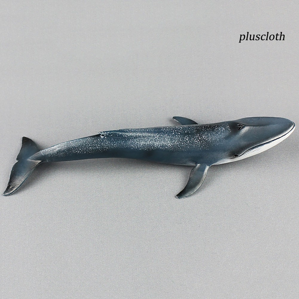 Đồ chơi mô hình chú cá voi 27cm sinh động