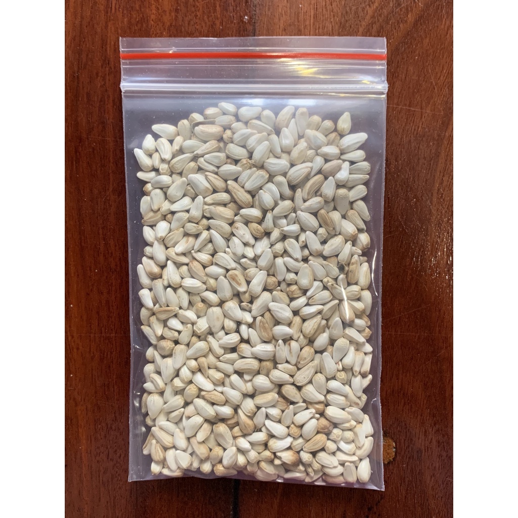 Hạt kham cho Hamster