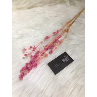 Trang trí phòng ngủ ❤️Hoa khô nhím biển❤️  trang trí tiệc cưới vintage