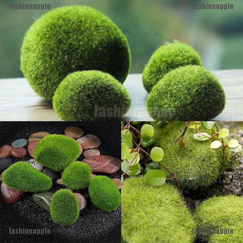 Đá rêu giả trang trí bể cá
