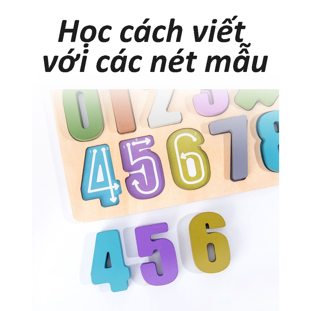 [Tặng kèm bút nước] Bảng Học Chữ Cái, Số Đếm, Tập Viết có 2 mặt Tích hợp nam châm cho bé - Đồ chơi gỗ Phát Triển Trí Tuệ