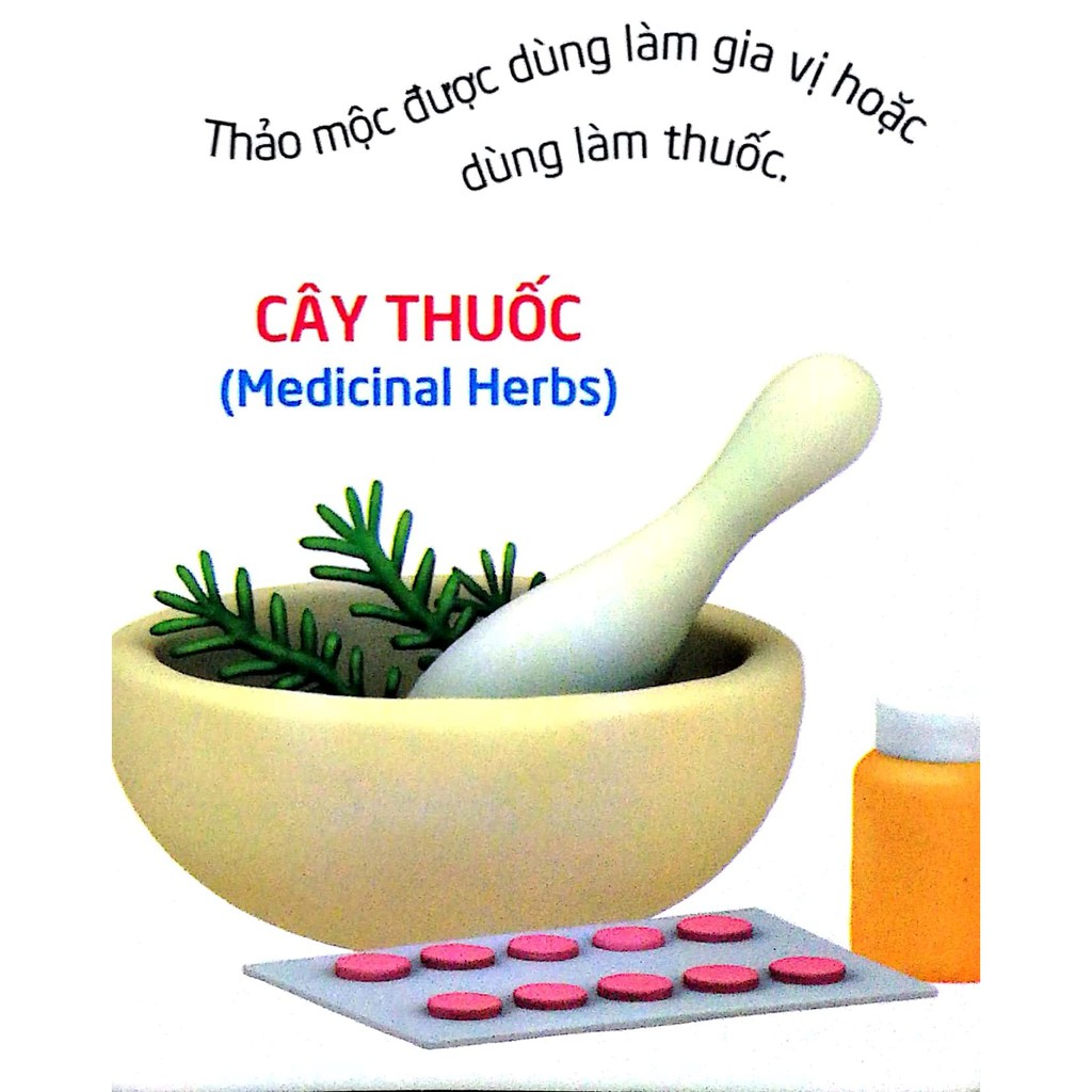 Sách Thế Giới Trong Mắt Em - Thực Vật