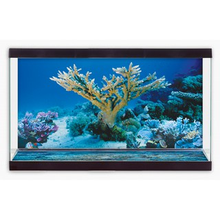 Tranh phông nền dán hồ cá, bể thủy sinh 2 mặt lưng và đáy Aquarium tank - 037