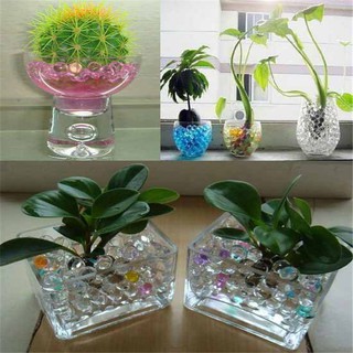 HẠT NỞ GÓI 1 CÂN (KG) ĐỦ MÀU CHO KHÁCH LỰA CHỌN