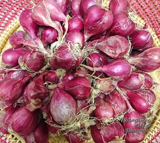 Hành tím Lý Sơn loại 1 ( 1 kg )