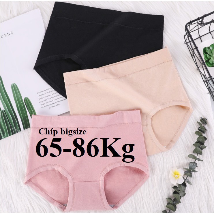 Quần Lót Nữ Big Size, Size Đại Sai Lớn 65-86Kg, Chất Thun Cotton cao Cấp Dày, Co Giãn Tốt, Mềm Mịn Mát