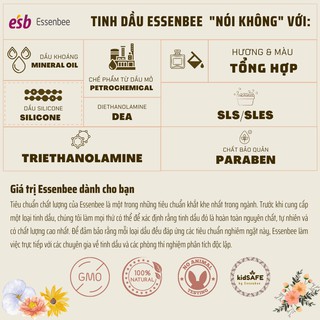 Tinh dầu xịt phòng Bạc Hà – Essenbee – 100ml