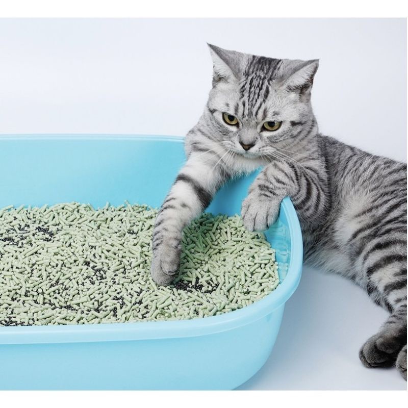 Hạt khử mùi cát vệ sinh cho mèo than hoạt tính - Hạt than hoạt tính khử mùi cát vệ sinh mèo 300gr