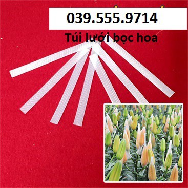 1kg Lưới bọc hoa – Lưới bao hoa – Lưới chụp bông giá rẻ