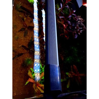 Đèn Led thủy sinh siêu sáng DFS