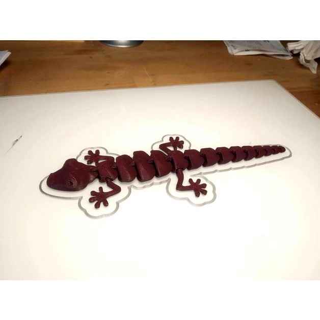 Thằn lằn ArticulatedLizard