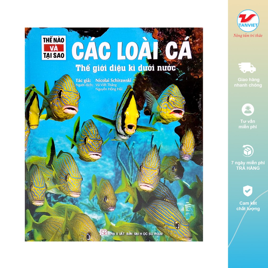 Sách Khám Phá Thế Nào Và Tại Sao Các Loài Cá Thế Giới Diệu Kì Dưới Nước