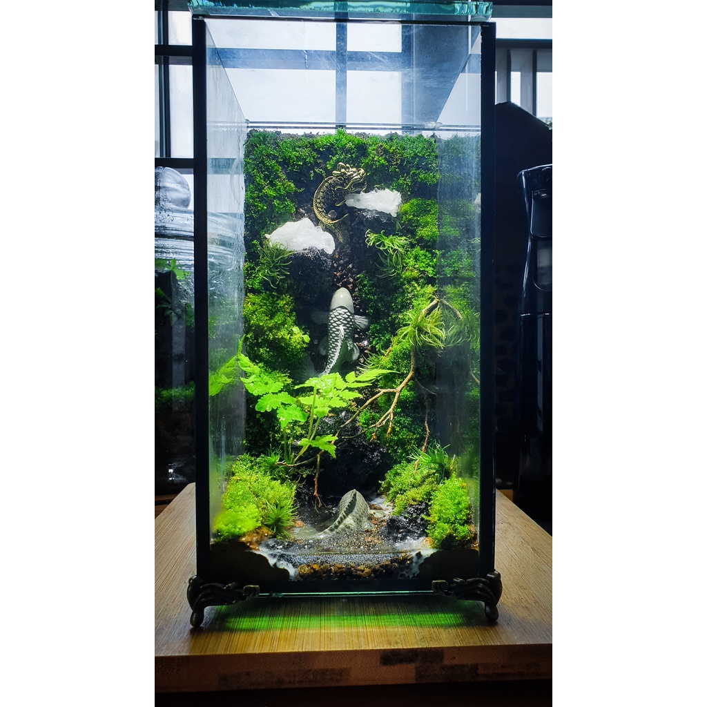 Bể đứng Terrarium, bể Betta mini có nắp đậy nút silicon và chân đồng chắc chắn