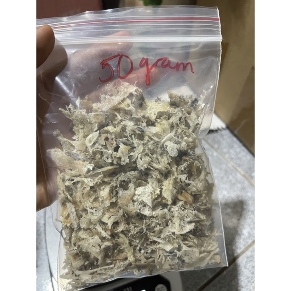 10-20gram TỔ YẾN BỄ TỔ VỤN TƯ TỔ YẾN NHÀ NUÔI KÈM ĐỒ CHƯNG và nhíp khi mua từ 20gram