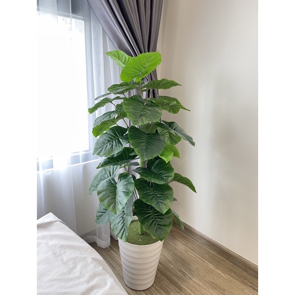 cây trầu bà xanh cao 1m1, cây giả decor trang trí nhà cửa
