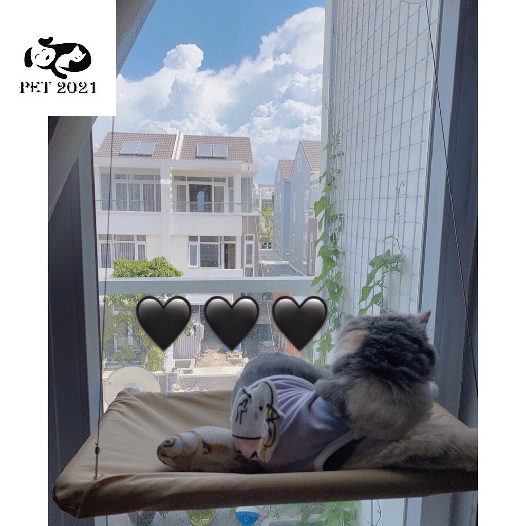 Võng Treo Cửa Sổ Kính Dành Cho Mèo Yêu