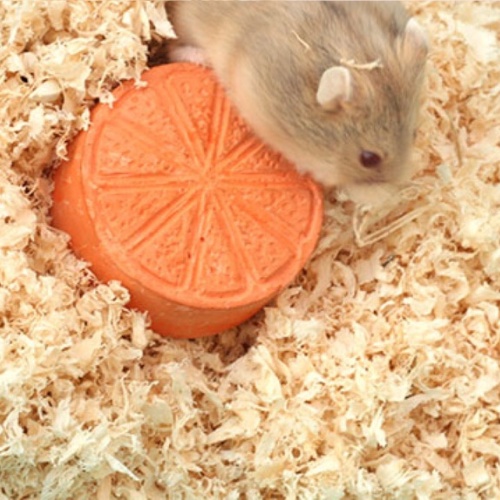 Mùn cưa lót chuồng cho thú cưng nhỏ - Versele-laga Natural Wood,Woodchips - 1KG