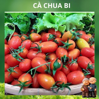 0.2g Hạt Giống Cà Chua Bi F1 Siêu Quả - Hạt Giống Cà Chua Dễ Trồng, Dinh Dưỡng Cao